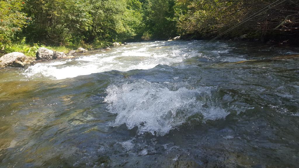 Gasthof Zur Gams Donnersbachwald Esterno foto