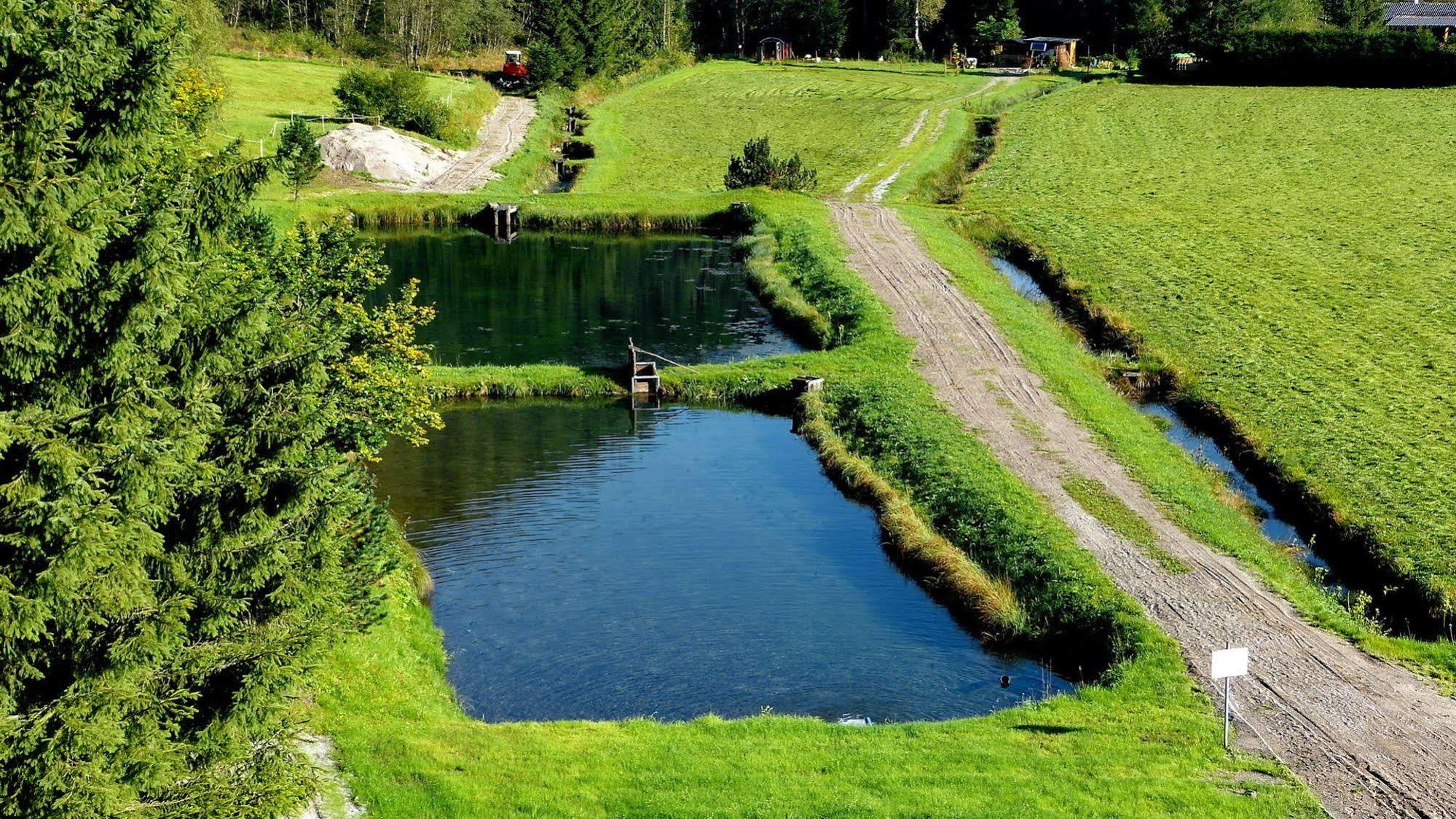 Gasthof Zur Gams Donnersbachwald Esterno foto
