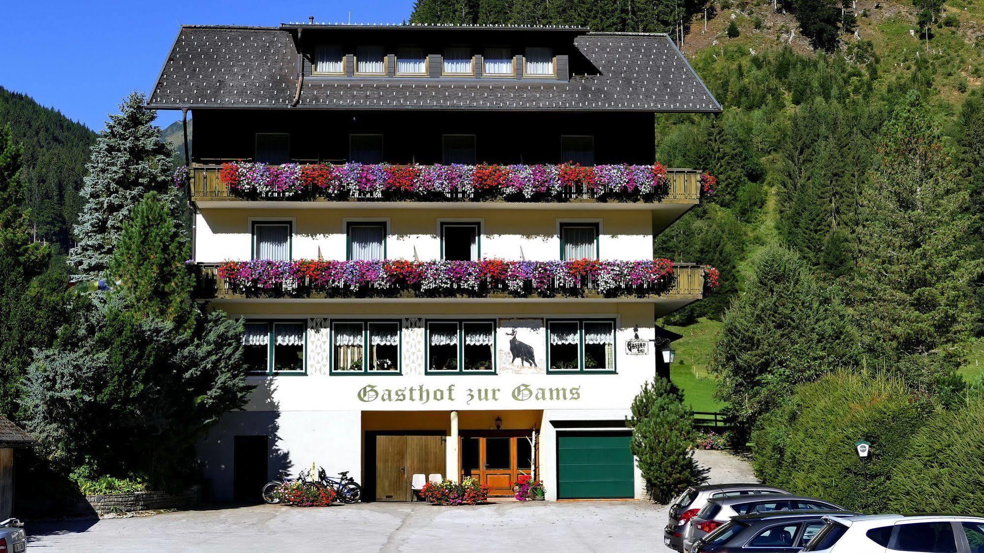 Gasthof Zur Gams Donnersbachwald Esterno foto